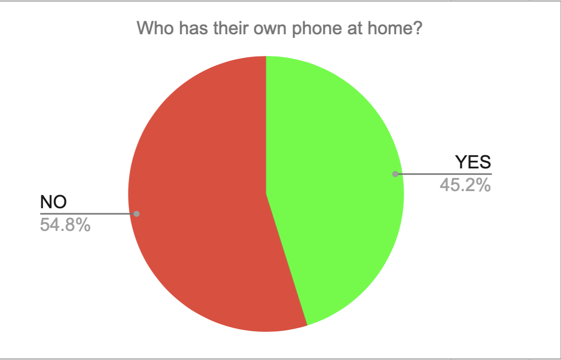 avetns Internet Safety Survey 2023