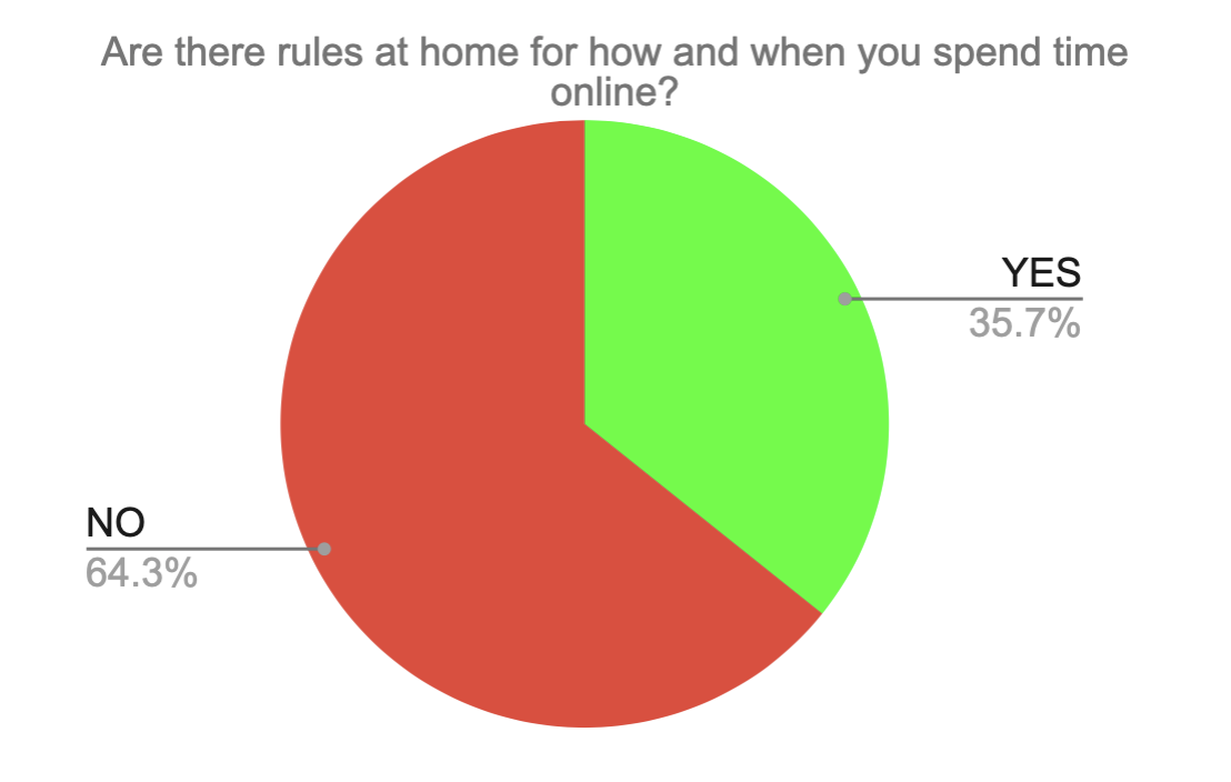 avetns Internet Safety Survey 2023