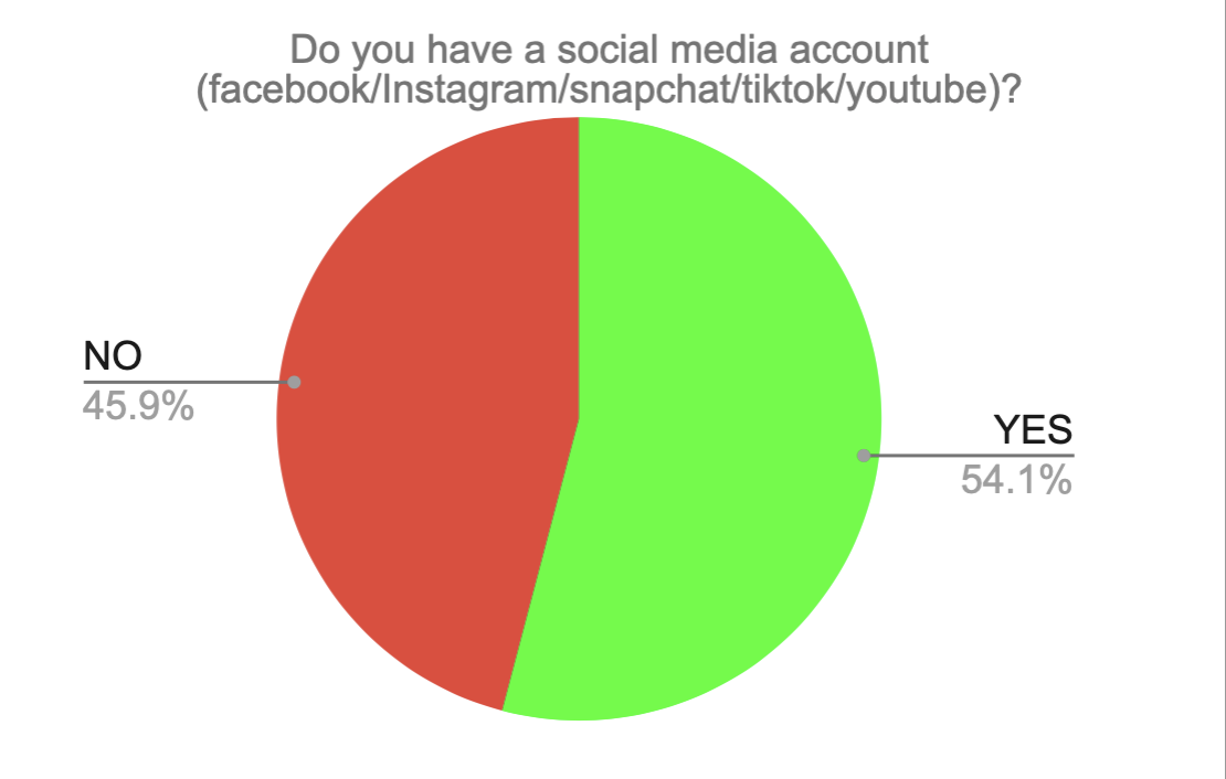 avetns Internet Safety Survey 2023